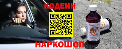 индика Камышлов