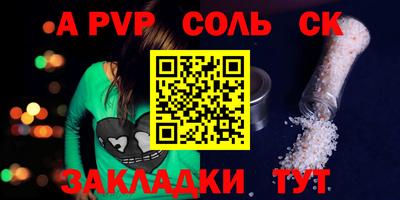 индика Камышлов