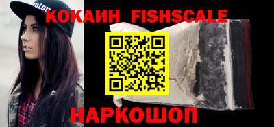 индика Камышлов