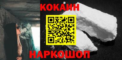 индика Камышлов