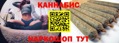 индика Камышлов