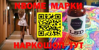 индика Камышлов