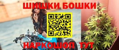 индика Камышлов