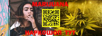 индика Камышлов