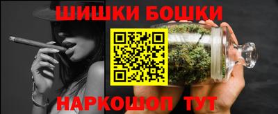 индика Камышлов