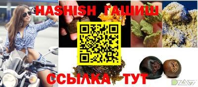 индика Камышлов