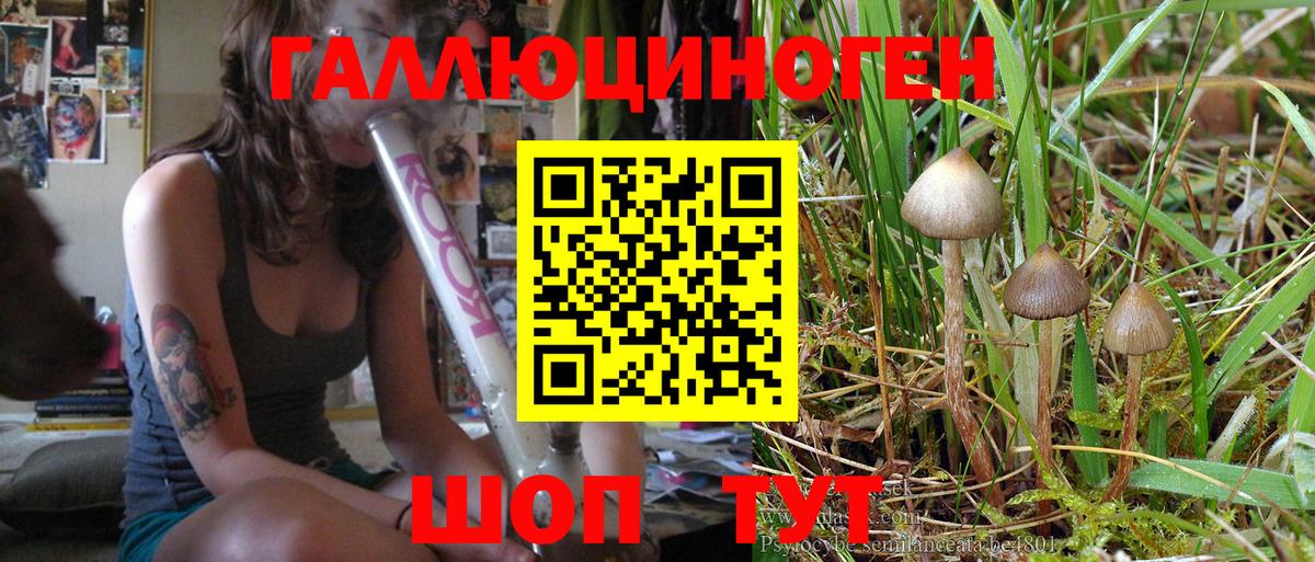 Псилоцибиновые грибы Psilocybe  Галлюциногенные грибы мухоморы  закладка  Вход с VPN  Красный Сулин 